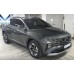 SUV HYUNDAI TUCSON NX4 2020-23 YEAR